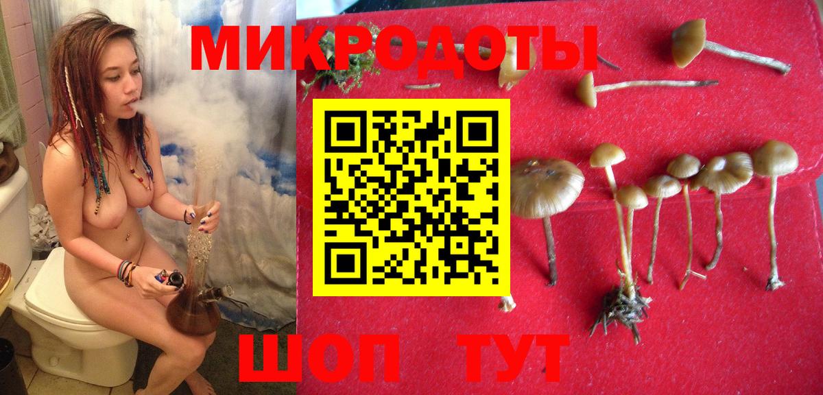 Братск  Псилоцибиновые грибы мицелий  Вход с VPN 