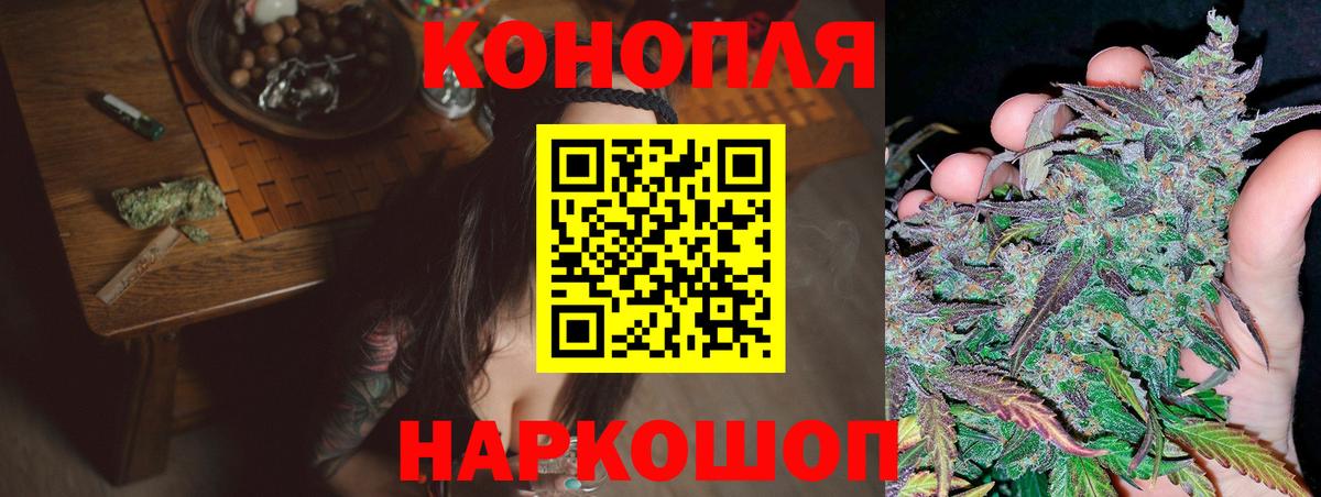 Братск  Марихуана план  Бошки Шишки конопля  Шишки марихуана план  Вход с VPN 